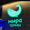 Билет в "Термы Мира"