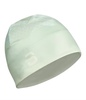 Bjorn Daehlie Iced Aqua Hat