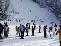 Поездка в Болгарию на новый год 2007