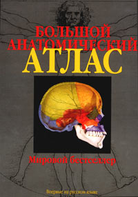 Анатомический атлас