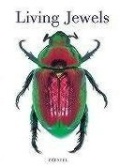 Living Jewels: The Natural Design of Beetles