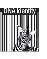 DNA Identity