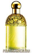 Aqua Allegoria Mandarine-Basilic, Guerlain