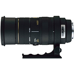 Объектив SIGMA AF 50-500 f/4-6.3 DG HSM CANON :: FOTO.RU