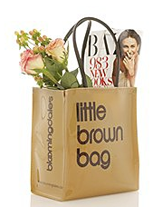 Big Brown Bag