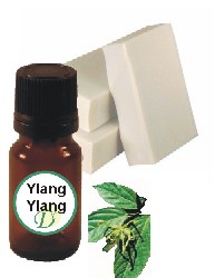 maslo Ylang Ylang