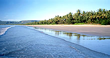 The Great Barrier Reef