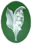 Lily of the Valley