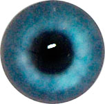 Eyeco 10mm/11mm P072