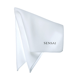 Sensai Sponge Chief