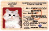 Получить права