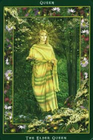 Fairy Ring Oracle