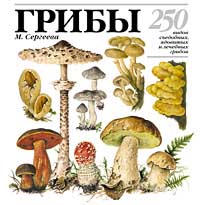 Грибы: 250 видов съедобных, ядовитых и лечебных грибов, Сергеева М.Н.