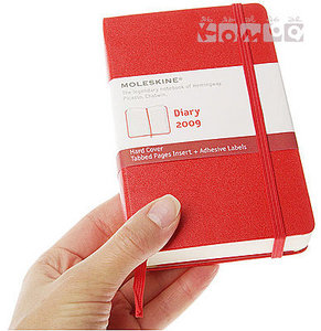 Moleskin ежедневник 2009