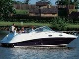 SEA RAY INTERNATIONAL 245 SUNDANCER®