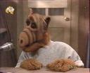 "ALF"