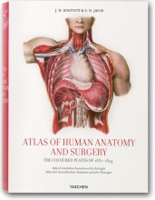 Atlas of Anatomy