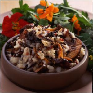 wild mushroom risotto