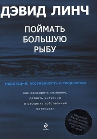 поймать большую рыбу: медитация, осознанность и творчество