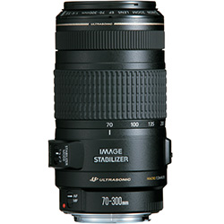 CANON EF-S 55-250 mm f/4-5.6 IS