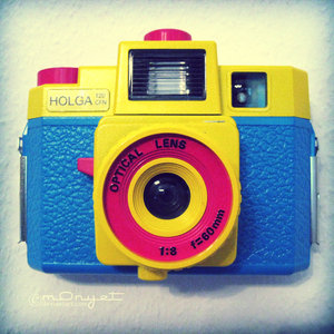 holga camera