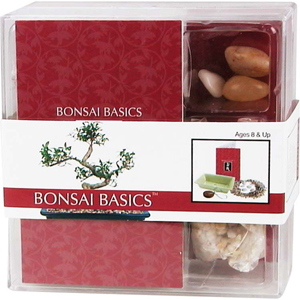 Bonsai Basics