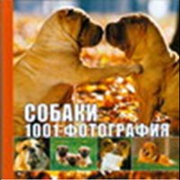 Собаки. 1001 фотография