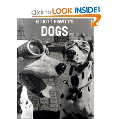 Elliott Erwitt's Dogs (Hardcover)