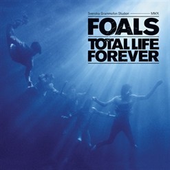 Total Life Forever (12" Vinyl)