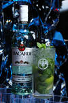 Bacardi