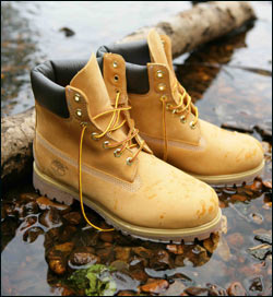 TIMBERLAND