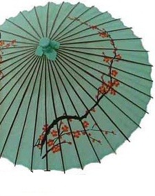 Japanese Umbrella