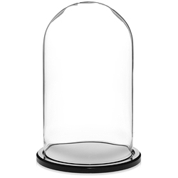 Glass Dome Displays