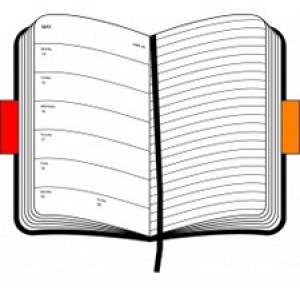 moleskine weekly planner 2011