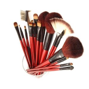 Professional Cosmetic Brush