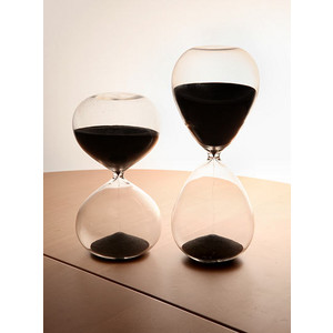 ThinkGeek :: Executive Sand Timer