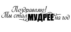 Штамп питерского Скрапклуба 'ты стал мудрее' - 7смх1,6см