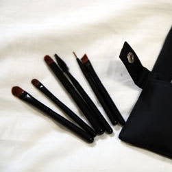 Travel Kit Brushes