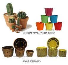 terrecotta flower pots