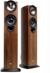 KEF iQ50