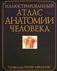 иллюстрированный атлас анатомии человека