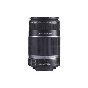 Canon EF-S 55-250mm f/4.0-5.6 IS Telephoto Zoom Lens