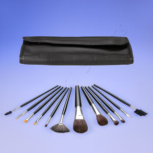 12 Pc Brush Set With Case