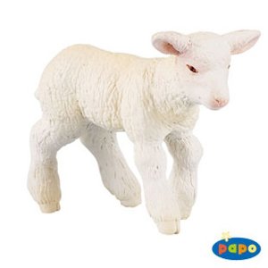 Merinos Lamb