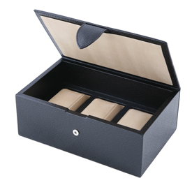 Watch Box