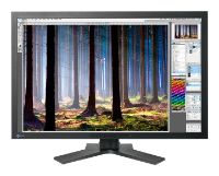 Eizo ColorEdge CG303W