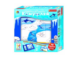 Логическая игра "Камуфляж, Северный полюс"