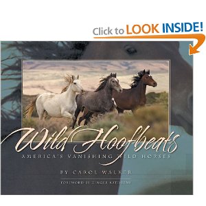 Wild Hoofbeats: America's Vanishing Wild Horses [Paperback]