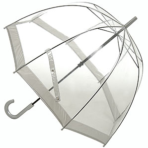 Transparent umbrella