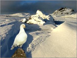 Antarctic Climate Change research